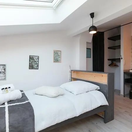 Apartment Loft 3 Pieces Duplex 3 Etoiles Calme Centre A 5 Mn Des Plages Et Palais